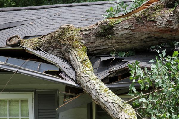Storm Remediation in Woodland Hills
