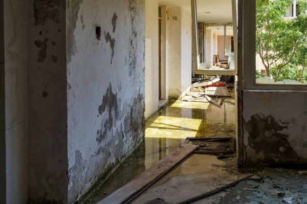 Cost of Water Removal Service in Woodland Hills