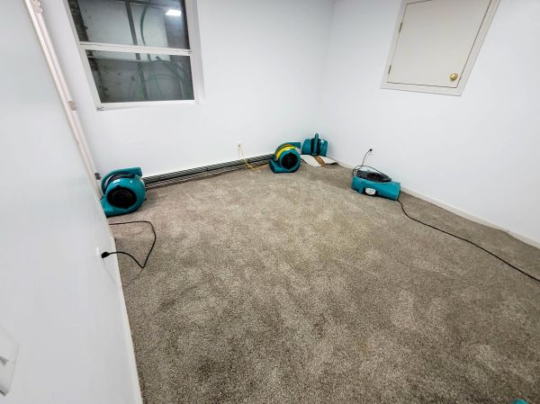 Flood Restoration Service in Woodland Hills