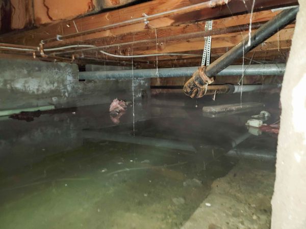 Water Mitigation Service in Woodland Hills