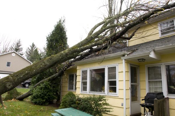 Hurricane Damage Repair in Woodland Hills