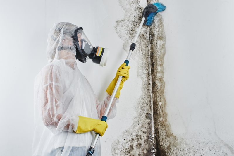 Mold Prevention Tools